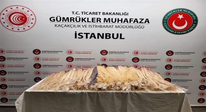 Sabiha Gökçen Havalımanı'nda gerçek insan saçları ele geçirildi