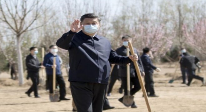 1.5 milyar Çinli, ağaç dikmek için buluştu