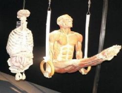 Gezeni irkilten sergi Ankara'ya göz kırpıyor