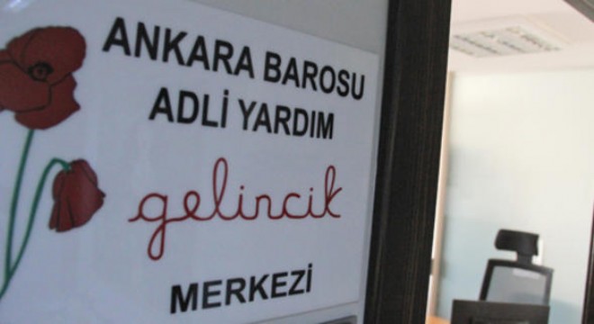 2017de 3 bin gelincik