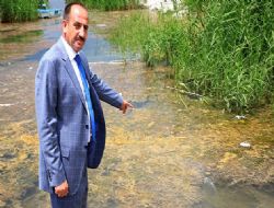 Yeni Başkan'dan kirlilik raporu