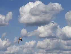 Ödüllü kareler sergide buluştu