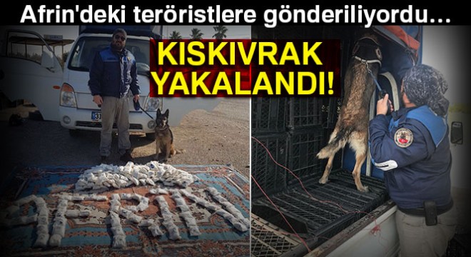 Afrin'deki YPG'li teröristlere gönderilen cesaret hapı ele geçirildi