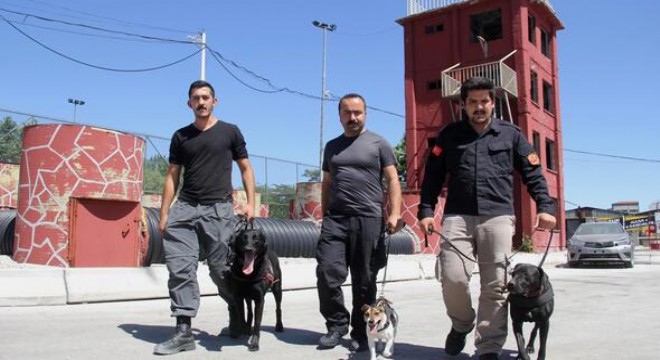 Ankara'nın hayat kurtaran üçlüsü