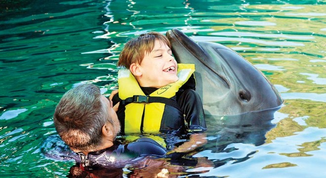 Ankaralı engelliler yunusla şifa buluyor