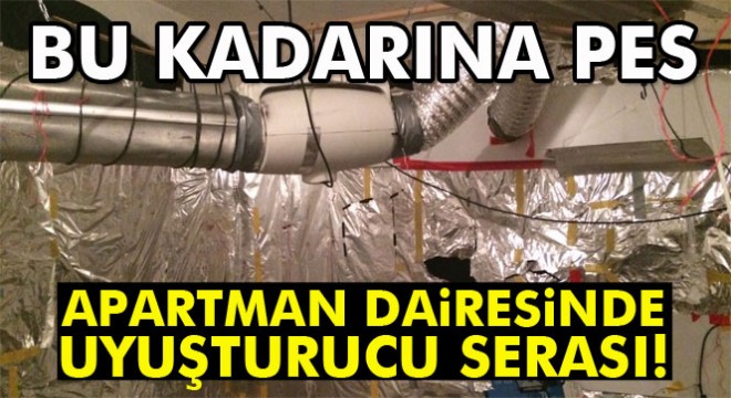 Apartman dairesinde uyuşturucu için sera kurdular