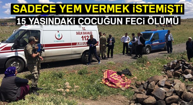 Atın peşinden sürüklediği kız çocuğu hayatını kaybetti