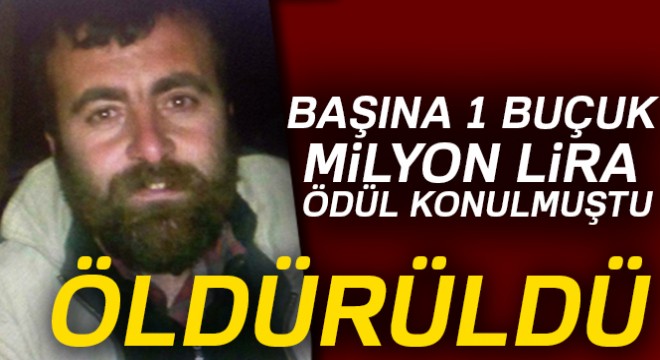 Başına 1 milyon 500 bin lira ödül konulan terörist öldürüldü