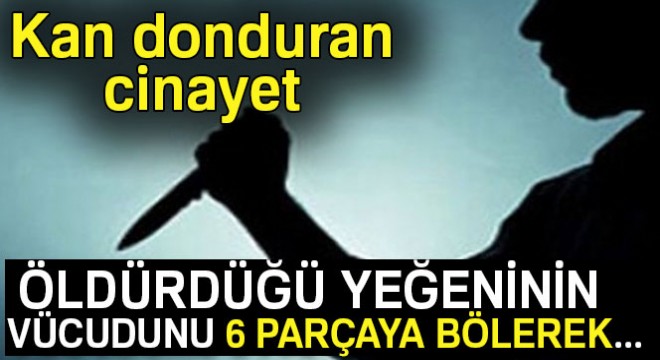 Başkent'te kan donduran cinayet: Öldürdüğü yeğeninin vücudunu parçalayarak...