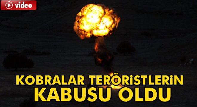 Bestler-Dereler bölgesinde kobralar teröristlerin kabusu oldu