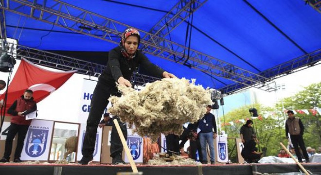 Çoban Fuarı'nda kırkım şampiyonası