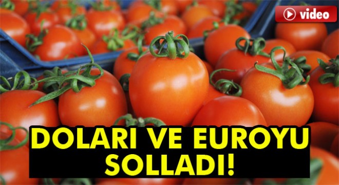 Domates doları da euroyu da solladı