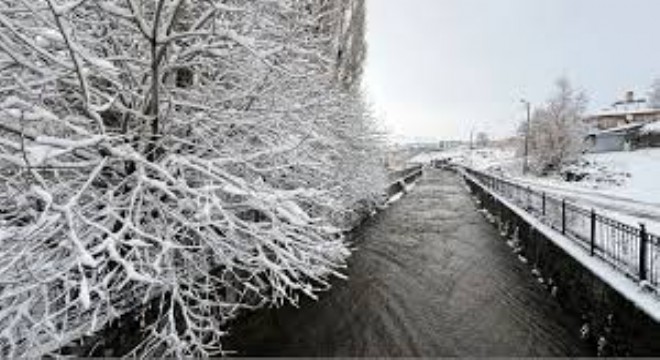 Doğu Anadolu'da Dondurucu Soğuk