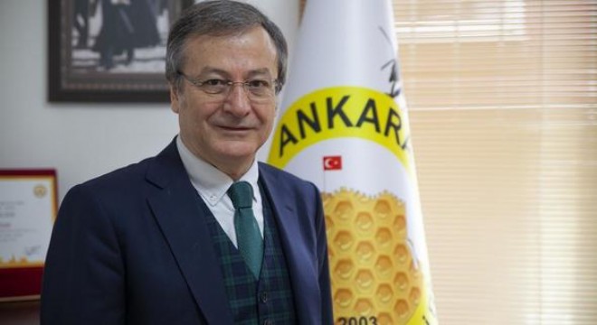 Dünya Arı Günü'nün ev sahibi Ankara
