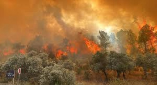 Ege ve Akdeniz'de Orman Yangınları Devam Ediyor
