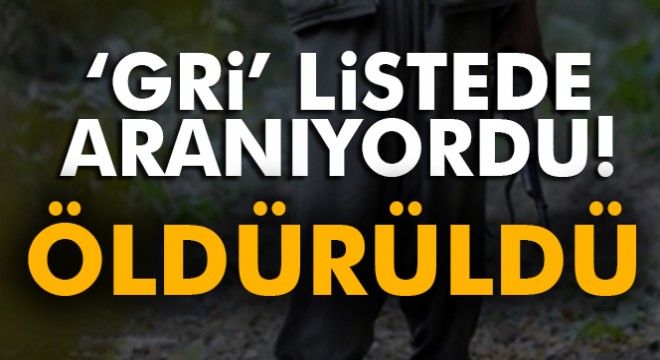 Gri' listede aranan terörist hava harekatında öldürüldü
