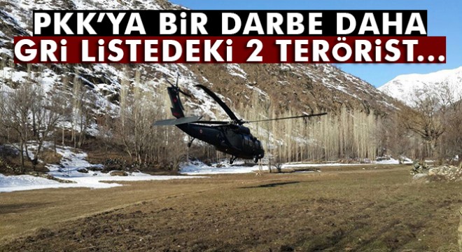 Gri listedeki 2 terörist etkisiz hale getirildi!