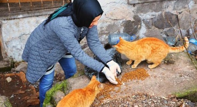 Hayvansever Müzeyyenler