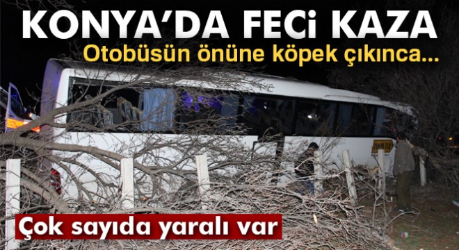 Konya'da tur otobüsü kaza yaptı: 15 yaralı