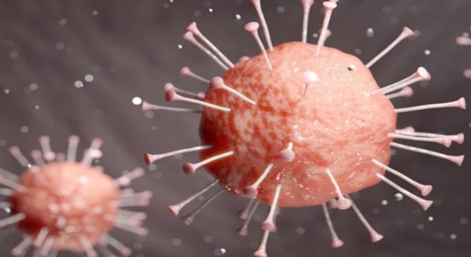 Koronavirüs salgınında ölenlerin sayısı 3 bin 952'e ulaştı