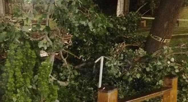 Kuğulu Park'ı yıldırım vurdu