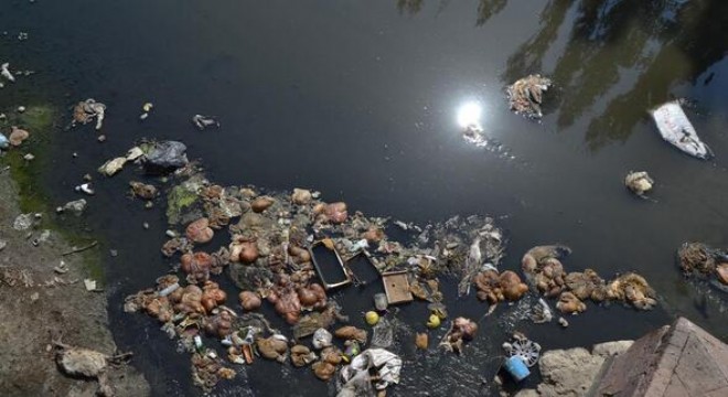 Kurban atıklarını Ankara Çayı'na attılar