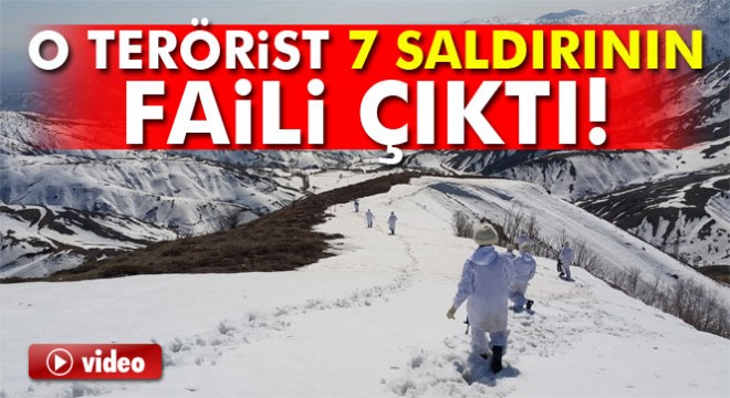 Lice'de öldürülen terörist 7 saldırının faili çıktı