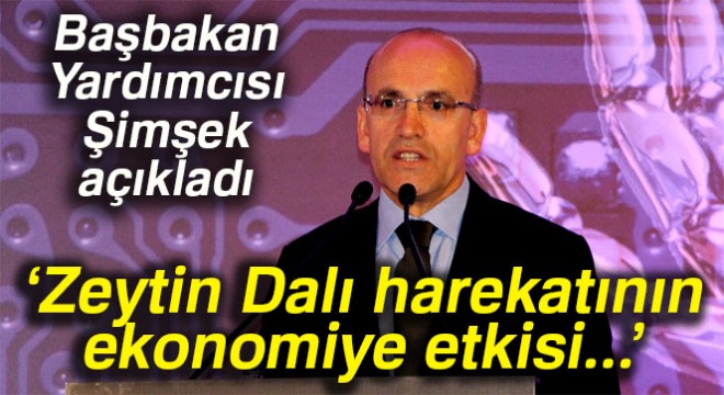 Mehmet Şimşek: 'Operasyonun ekonomiye etkisi son derece sınırlı'