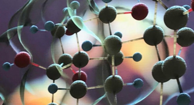 Memeli hücrelerinden ilaç üretiliyor