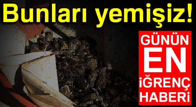 Midyeler merdaneli çamaşır makinelerinin içinden çıktı