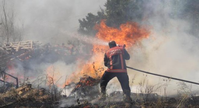 Ormanlık alanda korkutan yangın