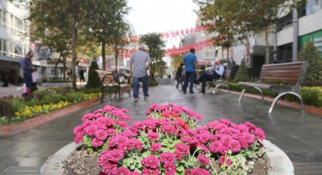 Sakarya Caddesi'ne 150 bin menekşe