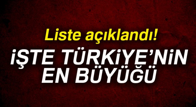 Türkiye'nin sanayi devleri belli oldu