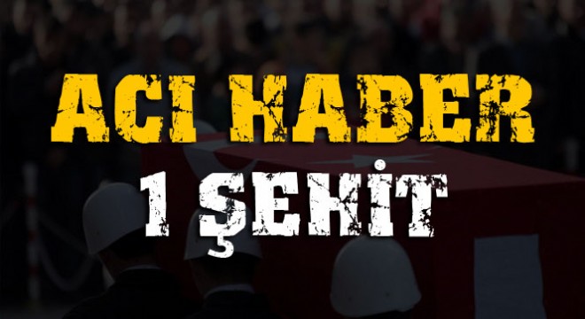 Van'dan acı haber: 1 şehit