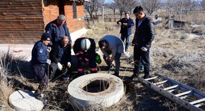 Yavru köpek rögara düştü
