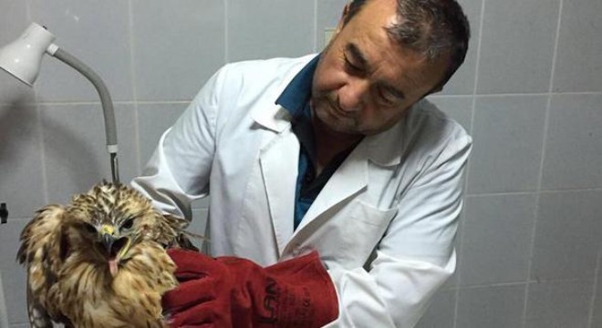 Yeniden uçmaya hazır