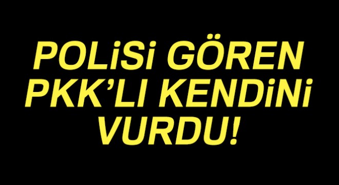 Yüksekova'da 1 PKK'lı terörist etkisiz hale getirildi