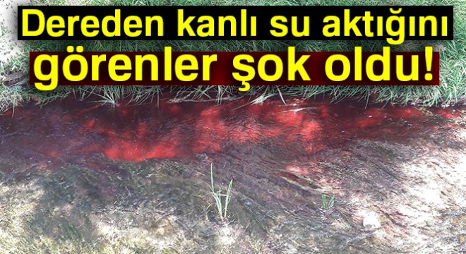 Zabıtalar dereye kan döken kişiyi dedektif gibi çalışıp buldu