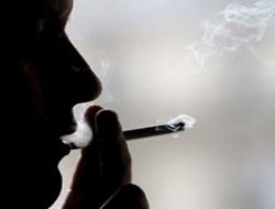 Bir sigarada 4 bin zehir var