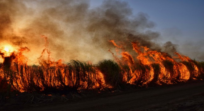 Çanakkale'deki orman yangını kontrol altına alındı