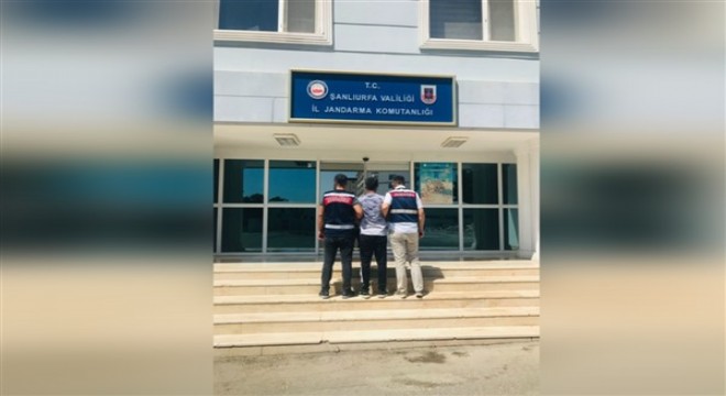 Şanlıurfa'da çeşitli suçlardan aranan 6 şahıs yakalandı