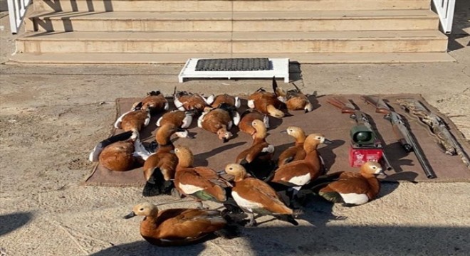 Şanlıurfa'da kaçak avlanan 3 şahsa 47 bin 877 lira ceza